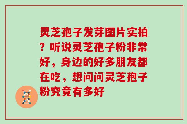 灵芝孢子发芽图片实拍？听说灵芝孢子粉非常好，身边的好多朋友都在吃，想问问灵芝孢子粉究竟有多好