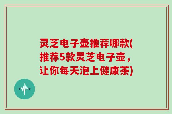 灵芝电子壶推荐哪款(推荐5款灵芝电子壶，让你每天泡上健康茶)