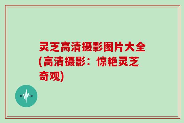 灵芝高清摄影图片大全(高清摄影：惊艳灵芝奇观)