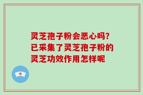 灵芝孢子粉会恶心吗？已采集了灵芝孢子粉的灵芝功效作用怎样呢