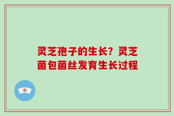 灵芝孢子的生长?灵芝菌包菌丝发育生长过程-第1张图片-灵芝大师 灵芝孢子的生长?灵芝菌包菌丝发育生长过程-第1张图片-灵芝大师