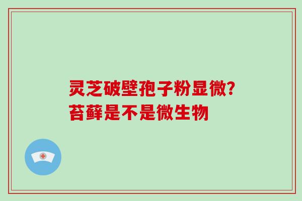 灵芝破壁孢子粉显微？苔藓是不是微生物