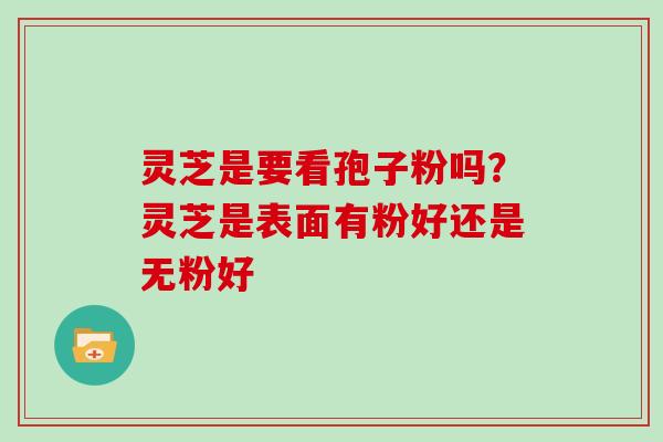 灵芝是要看孢子粉吗？灵芝是表面有粉好还是无粉好