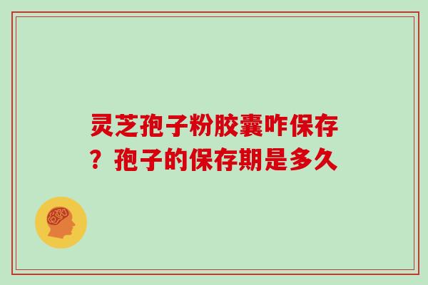 灵芝孢子粉胶囊咋保存？孢子的保存期是多久