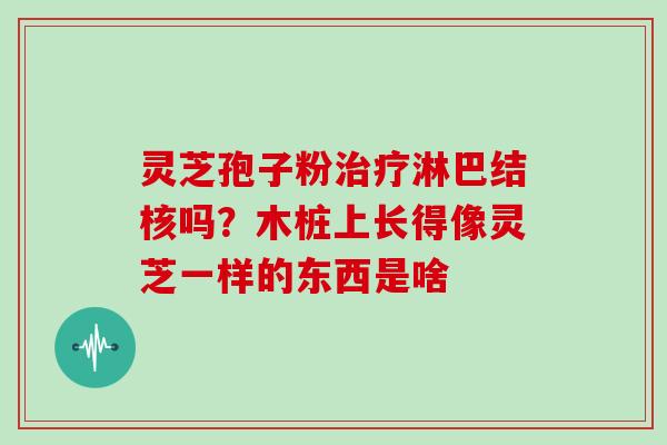 灵芝孢子粉治疗淋巴结核吗？木桩上长得像灵芝一样的东西是啥
