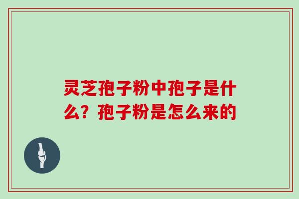 灵芝孢子粉中孢子是什么？孢子粉是怎么来的