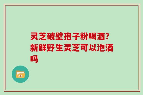 灵芝破壁孢子粉喝酒？新鲜野生灵芝可以泡酒吗