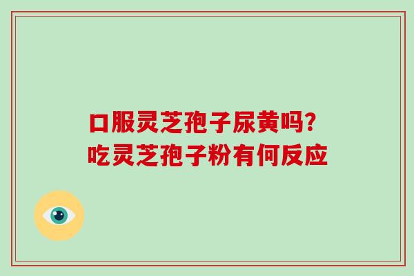 口服灵芝孢子尿黄吗？吃灵芝孢子粉有何反应