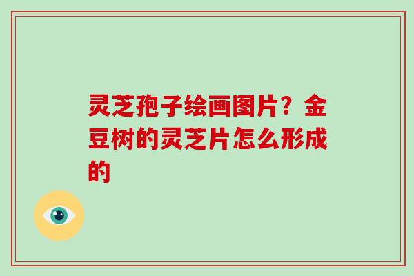 灵芝孢子绘画图片？金豆树的灵芝片怎么形成的