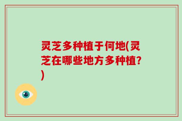 灵芝多种植于何地(灵芝在哪些地方多种植？)