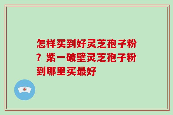 怎样买到好灵芝孢子粉？紫一破壁灵芝孢子粉到哪里买最好