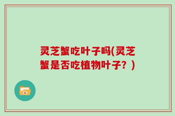 灵芝蟹吃叶子吗(灵芝蟹是否吃植物叶子?)-第1张图片-灵芝大师 灵芝蟹吃叶子吗(灵芝蟹是否吃植物叶子?)-第1张图片-灵芝大师