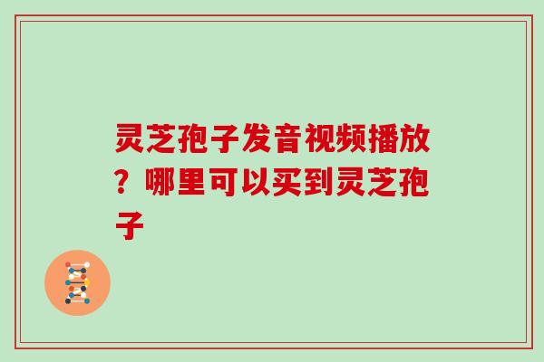 灵芝孢子发音视频播放？哪里可以买到灵芝孢子