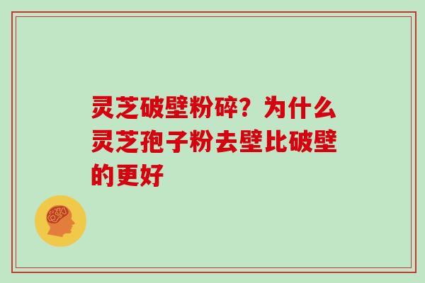 灵芝破壁粉碎？为什么灵芝孢子粉去壁比破壁的更好