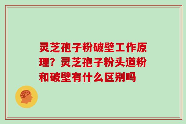 灵芝孢子粉破壁工作原理？灵芝孢子粉头道粉和破壁有什么区别吗