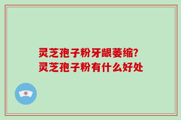 灵芝孢子粉牙龈萎缩？灵芝孢子粉有什么好处