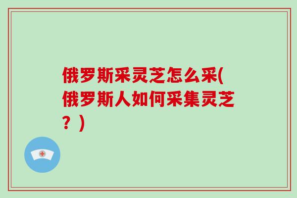 俄罗斯采灵芝怎么采(俄罗斯人如何采集灵芝？)