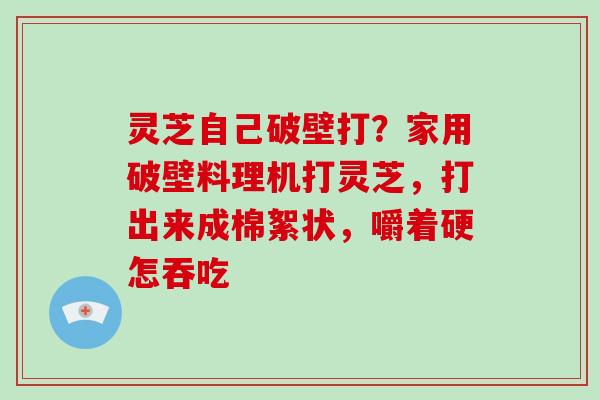 灵芝自己破壁打？家用破壁料理机打灵芝，打出来成棉絮状，嚼着硬怎吞吃