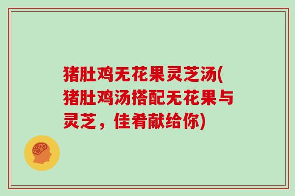 猪肚鸡无花果灵芝汤(猪肚鸡汤搭配无花果与灵芝，佳肴献给你)