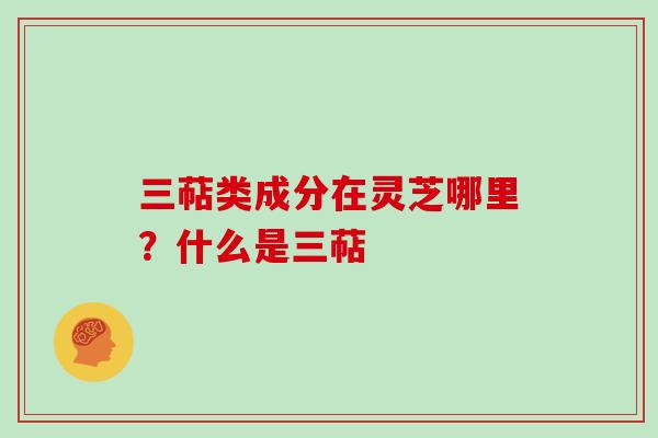 三萜类成分在灵芝哪里？什么是三萜