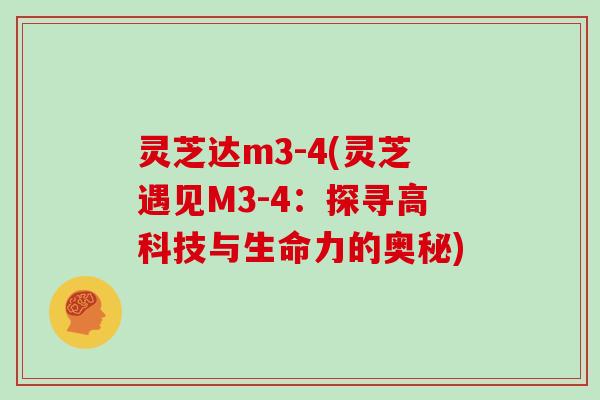 灵芝达m3-4(灵芝遇见M3-4：探寻高科技与生命力的奥秘)