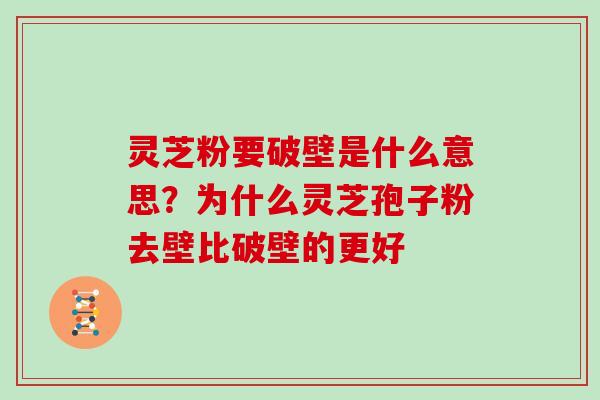 灵芝粉要破壁是什么意思？为什么灵芝孢子粉去壁比破壁的更好