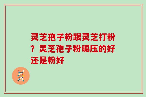灵芝孢子粉跟灵芝打粉？灵芝孢子粉碾压的好还是粉好