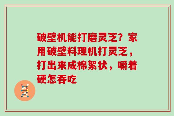破壁机能打磨灵芝？家用破壁料理机打灵芝，打出来成棉絮状，嚼着硬怎吞吃