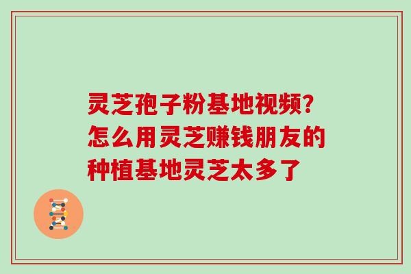灵芝孢子粉基地视频？怎么用灵芝赚钱朋友的种植基地灵芝太多了