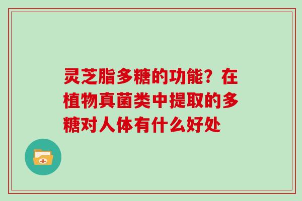 灵芝脂多糖的功能？在植物真菌类中提取的多糖对人体有什么好处