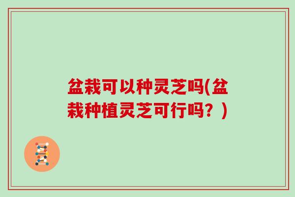盆栽可以种灵芝吗(盆栽种植灵芝可行吗？)
