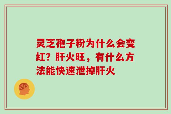 灵芝孢子粉为什么会变红？肝火旺，有什么方法能快速泄掉肝火