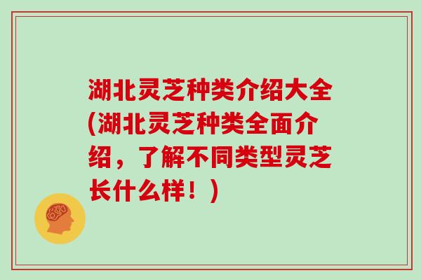 湖北灵芝种类介绍大全(湖北灵芝种类全面介绍，了解不同类型灵芝长什么样！)