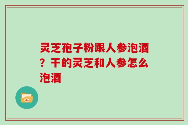 灵芝孢子粉跟人参泡酒？干的灵芝和人参怎么泡酒