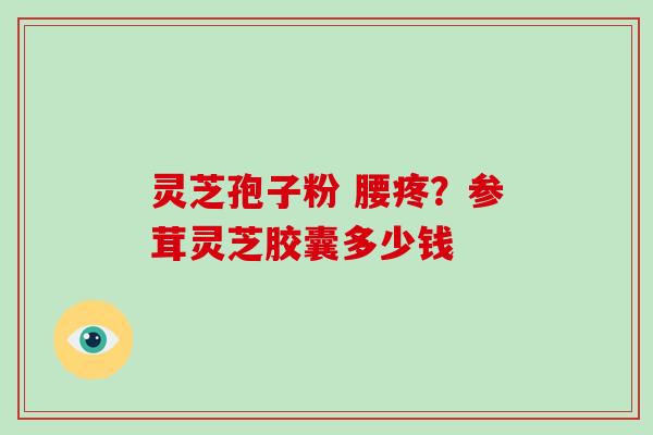 灵芝孢子粉 腰疼？参茸灵芝胶囊多少钱
