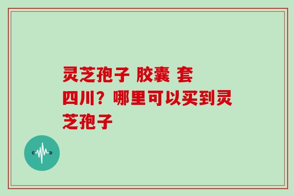 灵芝孢子 胶囊 套 四川？哪里可以买到灵芝孢子