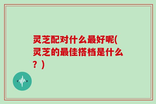 灵芝配对什么最好呢(灵芝的最佳搭档是什么？)