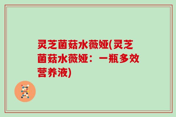 灵芝菌菇水薇娅(灵芝菌菇水薇娅：一瓶多效营养液)