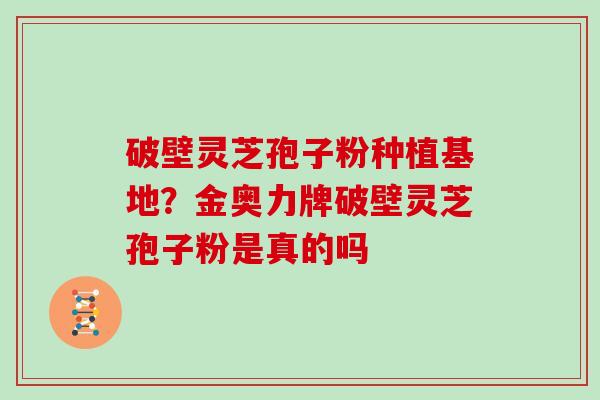 破壁灵芝孢子粉种植基地？金奥力牌破壁灵芝孢子粉是真的吗