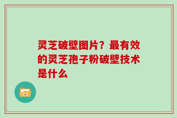 灵芝破壁图片？最有效的灵芝孢子粉破壁技术是什么