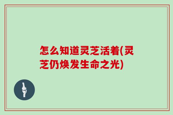 怎么知道灵芝活着(灵芝仍焕发生命之光)