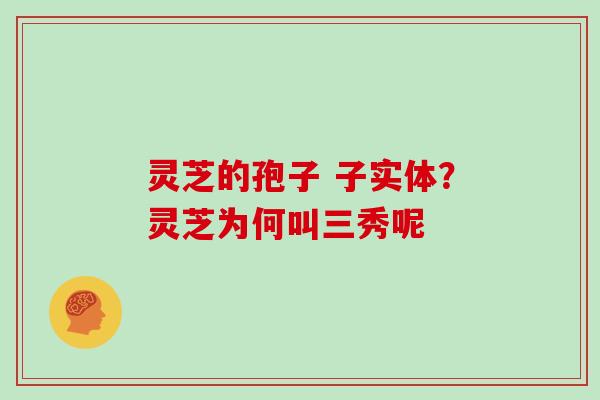 灵芝的孢子 子实体？灵芝为何叫三秀呢