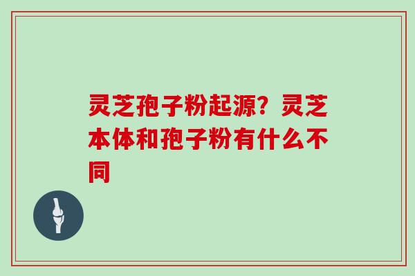 灵芝孢子粉起源？灵芝本体和孢子粉有什么不同
