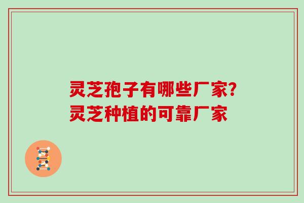 灵芝孢子有哪些厂家？灵芝种植的可靠厂家