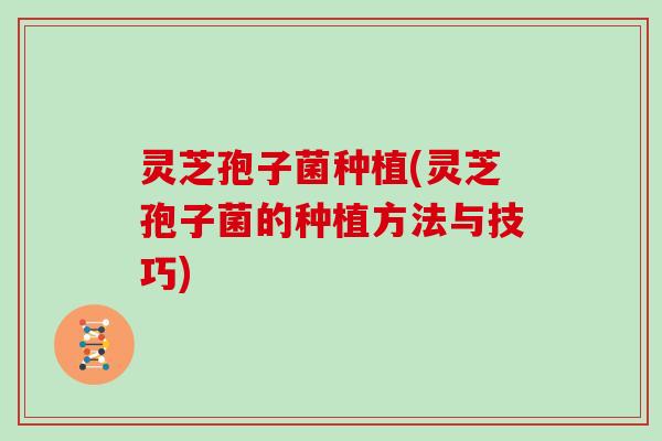 灵芝孢子菌种植(灵芝孢子菌的种植方法与技巧)