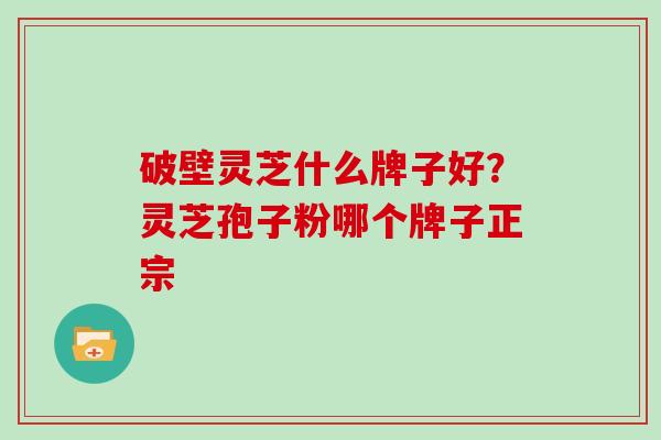 破壁灵芝什么牌子好？灵芝孢子粉哪个牌子正宗