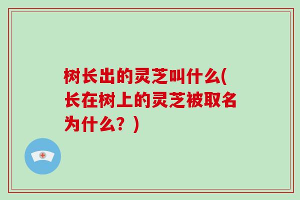 树长出的灵芝叫什么(长在树上的灵芝被取名为什么？)