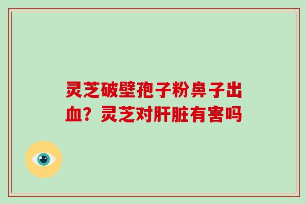 灵芝破壁孢子粉鼻子出血？灵芝对肝脏有害吗