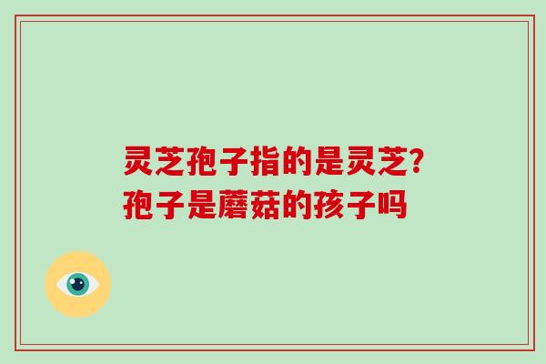 灵芝孢子指的是灵芝？孢子是蘑菇的孩子吗