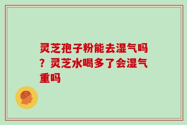 灵芝孢子粉能去湿气吗?灵芝水喝多了会湿气重吗-第1张图片-灵芝大师 灵芝孢子粉能去湿气吗?灵芝水喝多了会湿气重吗-第1张图片-灵芝大师